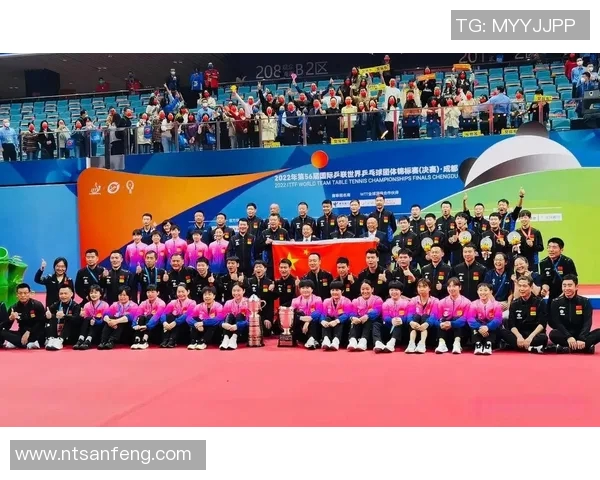 成都乒乓球队团队协作引发热议背后的争议与反思