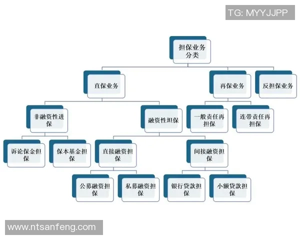 武汉排球队的整体压制革新探索与发展之路全景分析 武汉排球队的整体压制革新探索与发展之路全景分析