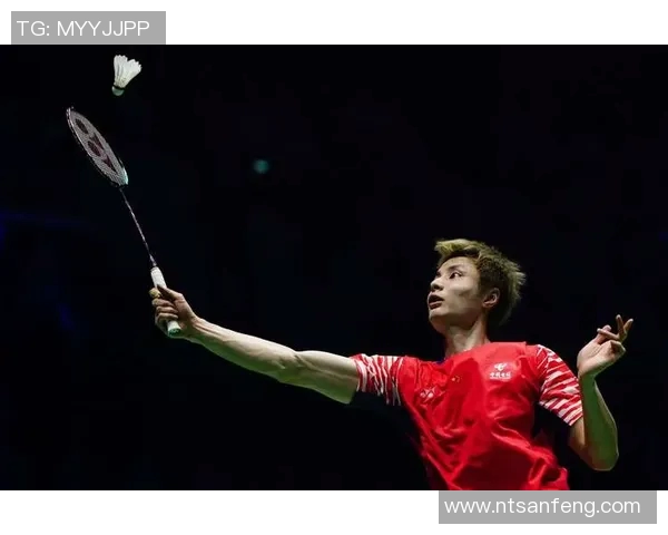 武汉羽毛球队在世界锦标赛中的技术表现分析与总结