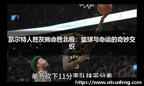 凯尔特人胜灰熊命胜北极：篮球与命运的奇妙交织