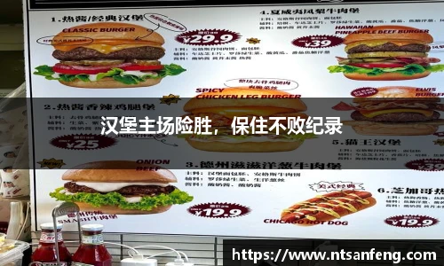 汉堡主场险胜，保住不败纪录